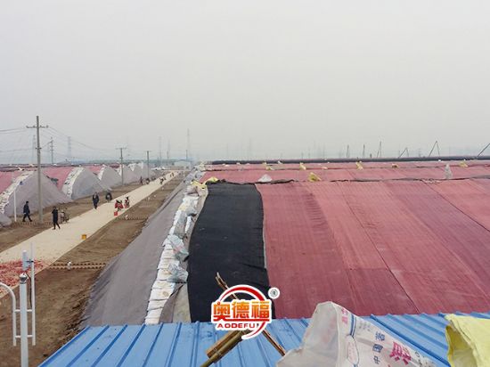 點擊查看詳細信息<br>標題：生態(tài)大棚外景 閱讀次數(shù)：6984