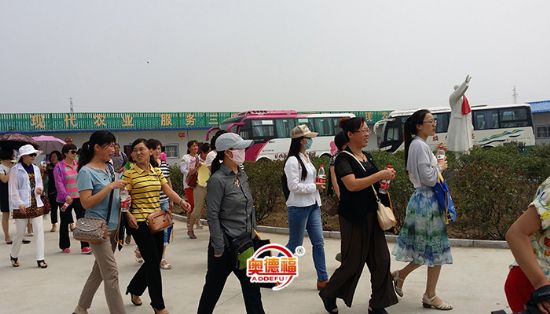 點擊查看詳細信息<br>標題：縣婦聯(lián)來采摘 閱讀次數(shù)：6568