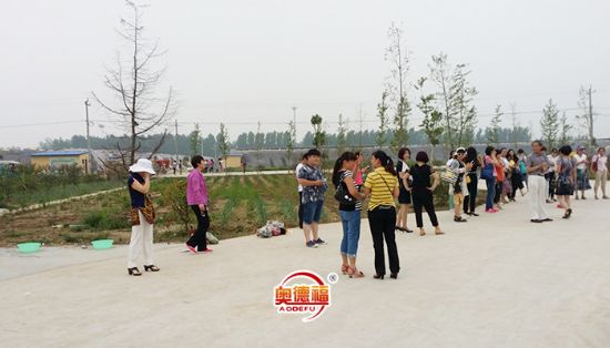 點擊查看詳細信息<br>標題：縣婦聯(lián)來采摘 閱讀次數(shù)：6571