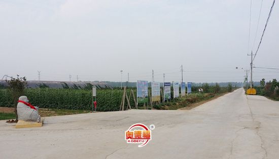 點擊查看詳細信息<br>標題：德福一角 閱讀次數(shù)：6690