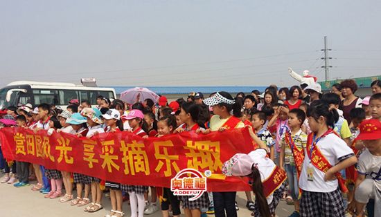 點擊查看詳細信息<br>標題：采摘團 閱讀次數(shù)：6673