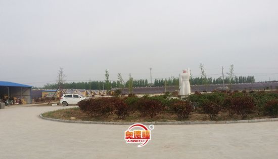 點擊查看詳細信息<br>標題：生態(tài)園蔬菜種植區(qū) 閱讀次數(shù)：7149