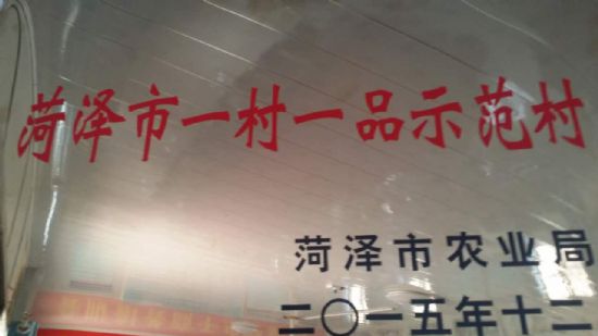 點擊查看詳細信息<br>標題：【資質(zhì)榮譽】菏澤市一村一品 閱讀次數(shù)：7158