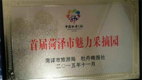 點擊查看詳細信息<br>標題：【資質(zhì)榮譽】首屆菏澤魅力采摘園 閱讀次數(shù)：7311